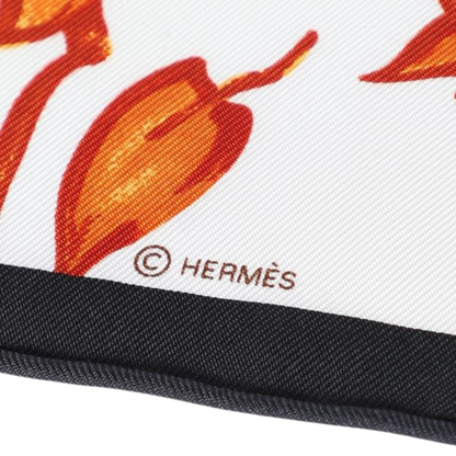 Hermès 2012 'Les Tigreaux' 45cm Pocket Scarf