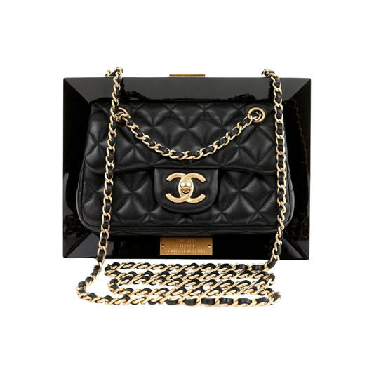 Chanel 2010 Extremely rare Runway Frame Bag
